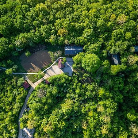 Tree Elements Treehouse Retreat Leilighet Slunj Eksteriør bilde