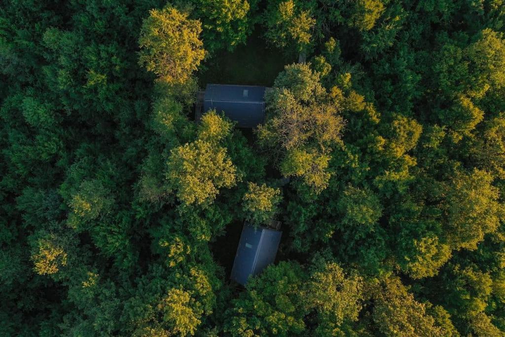 Tree Elements Treehouse Retreat Leilighet Slunj Eksteriør bilde