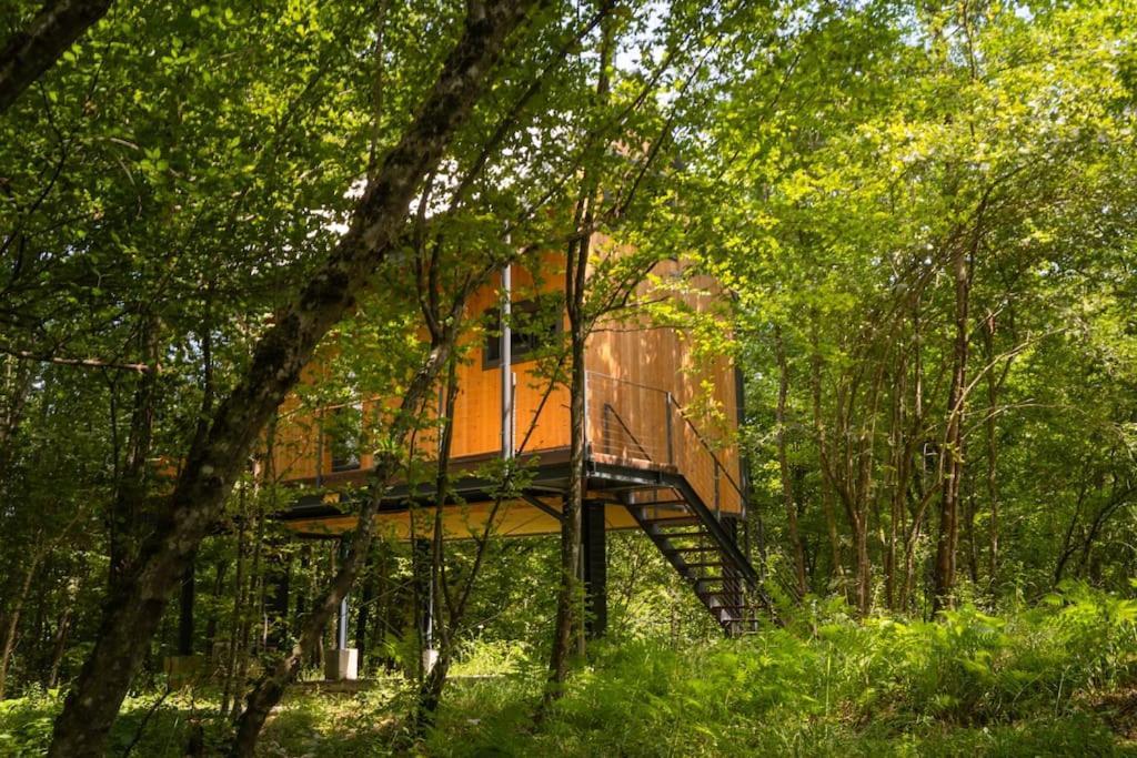 Tree Elements Treehouse Retreat Leilighet Slunj Rom bilde