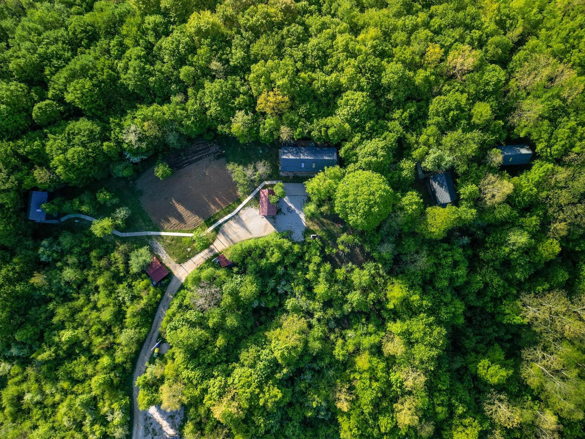 Tree Elements Treehouse Retreat Leilighet Slunj Eksteriør bilde